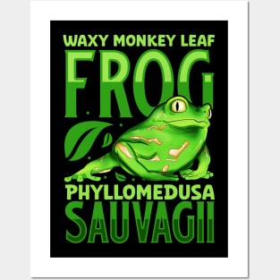 Waxy Monkey Leaf Frog Posters and Art